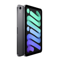 Apple iPad Mini 6th Gen 256GB WiFi + Cellular