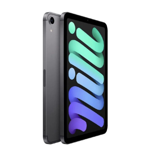 Apple iPad Mini 6th Gen 256GB WiFi + Cellular