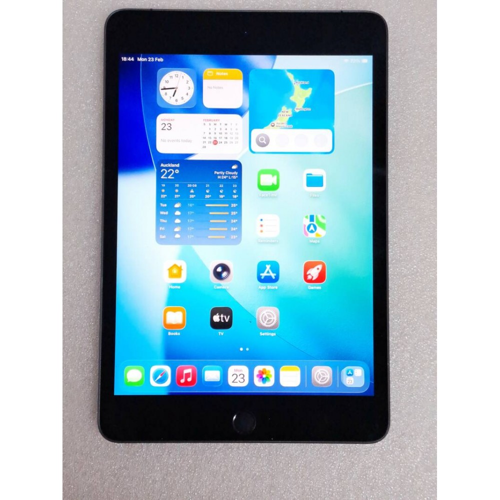 Apple iPad mini (5th generation) – 64GB Wi-Fi + Cellular – Space Gray - Image 5